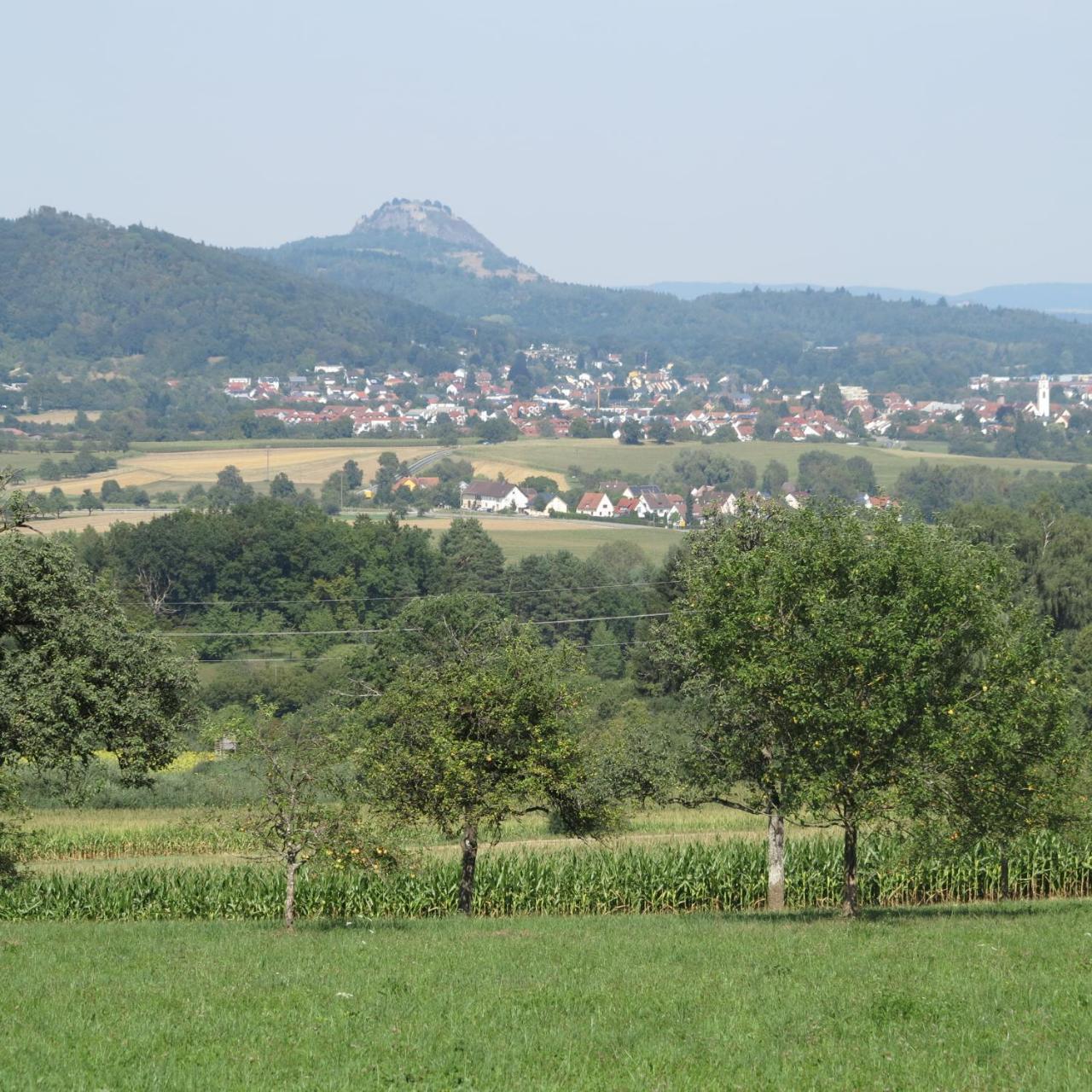 Bodensee Hegau กอทท์มาดิงเกน ภายนอก รูปภาพ